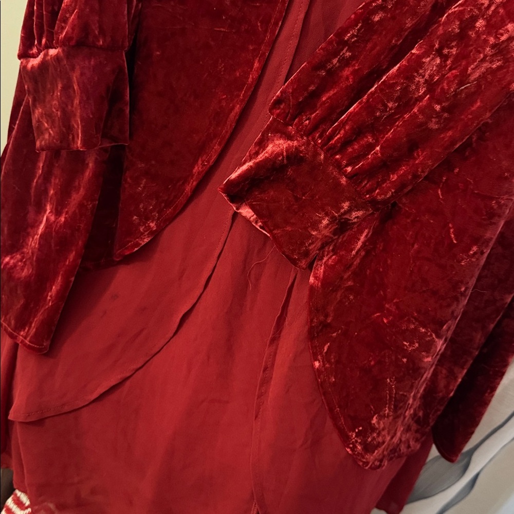 Torrid Deep Red Velvet Dress - Picture 3 of 3